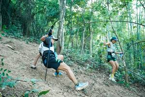 BIB: 
                            <button type="button" onclick="openModal(28160931)" class="btn btn-primary btn-sm float-right btn-popup" data-toggle="modal" data-target=".modal-high-quality">
                        <i class="fas fa-shopping-cart"></i> Add to Cart
                    </button>
                                            <button type="button" onclick="isThisMe(28160931, true)" class="btn btn-success btn-sm float-right btn-popup btn-isme hidden" data-toggle="tooltip" data-placement="bottom" title="นี่คือรูปของคุณใช่ไหม คลิกที่นี่เพื่อเอาเข้าอัลบั้ม">
                        <i class="fas fa-plus"></i> Add to album
                    </button>
                    <button type="button" onclick="isThisMe(28160931, false)" class="btn btn-warning btn-sm float-right btn-popup btn-isnotme hidden">
                        <i class="fas fa-ban"></i> Remove from album
                    </button>